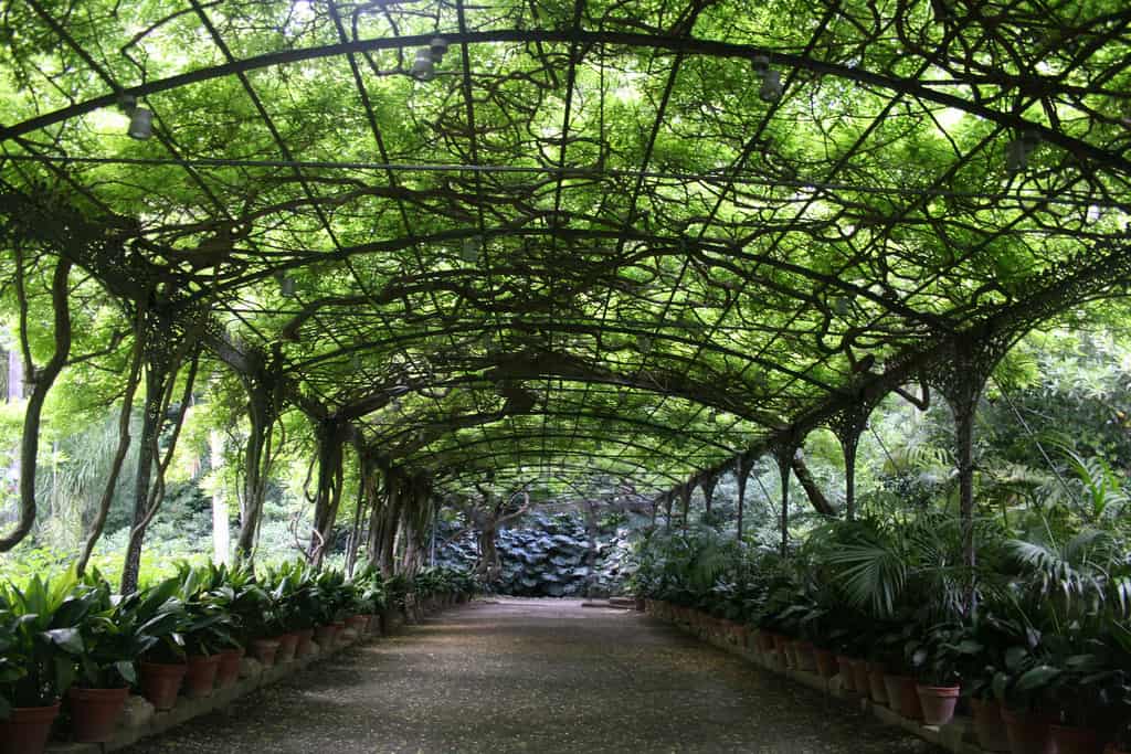 jardines secretos de málaga