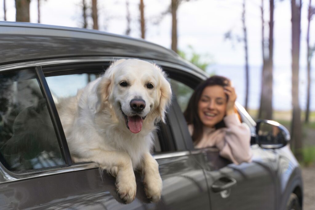 Fuengirola Pet-Friendly